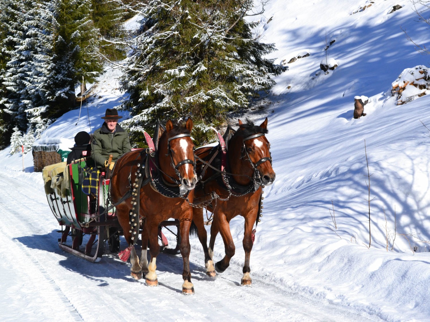 Im Sommer verkehren Kutschen und im Winter Pferdeschlitten zum Lauenensee.