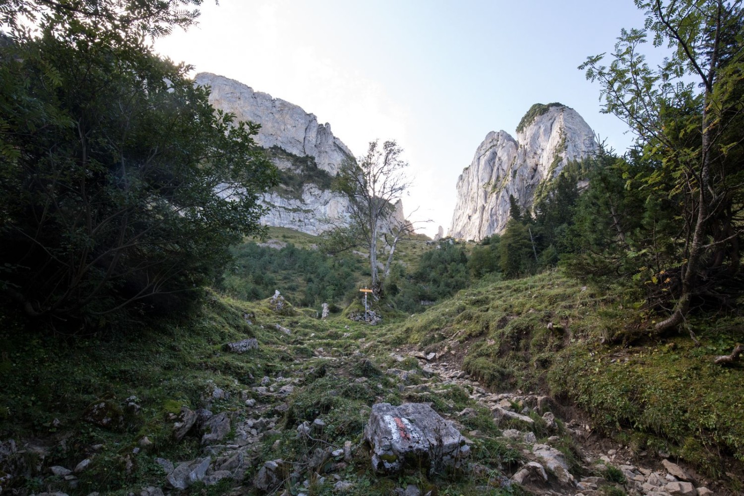 Il attend en haut. La montée au col du Bogartenlücke est raide, sauvage et solitaire.