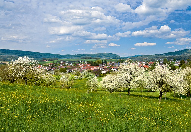 Mitten im Laufental, mitten im Frühling: das Dorf Brislach.