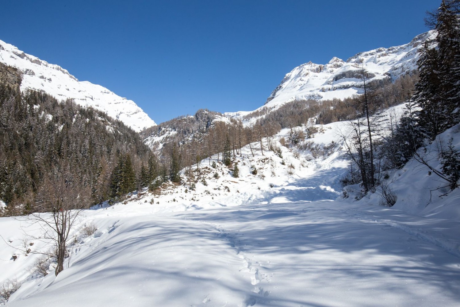 Vom Majingsee ist im Winter nicht viel zu sehen. Hier endet die Tour.