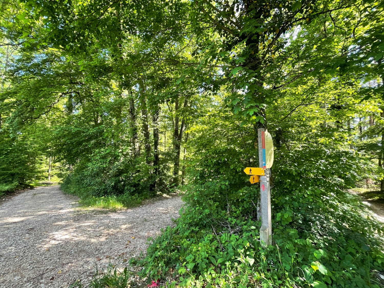 Une fois le haut plateau atteint, le reste du chemin est plat jusqu’au foyer de vacances. Photo: Vera In-Albon