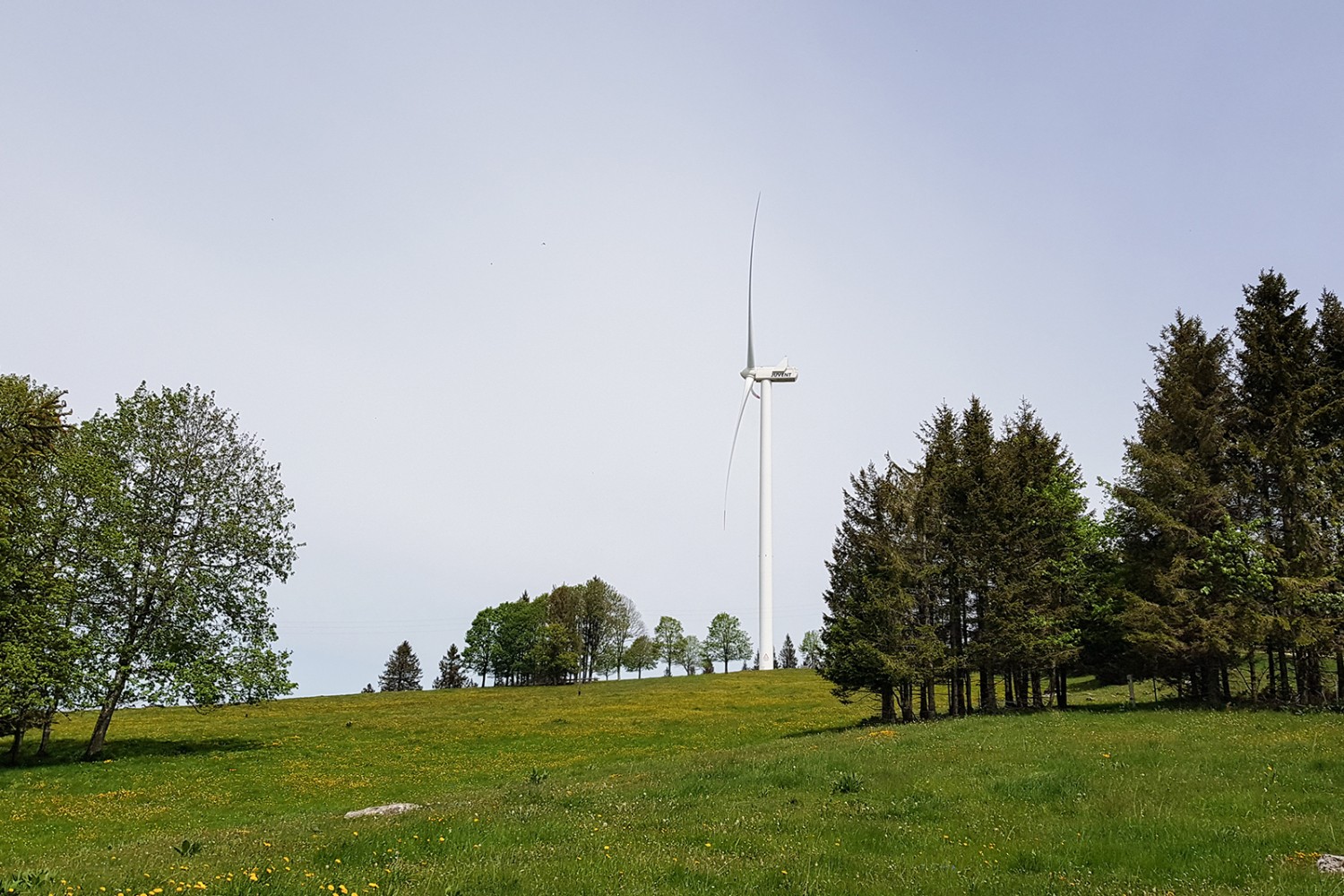 Les imposantes éoliennes sont plus hautes que la collégiale de Berne ou la Prime Tower de Zurich. Photo: Nathalie Stöckli
