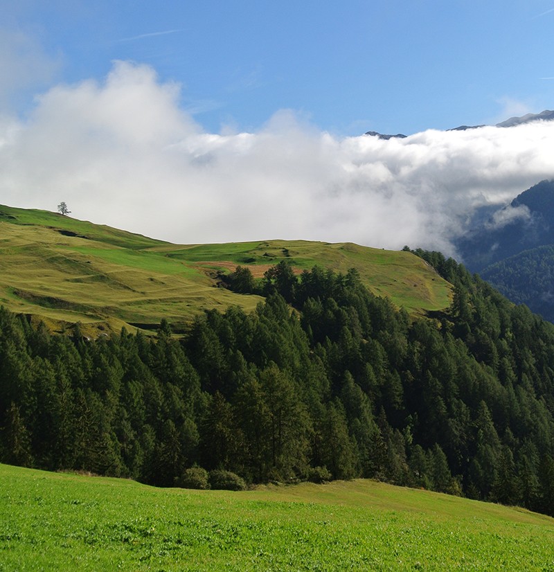 Le climat régnant autour de Tschlin est doux.