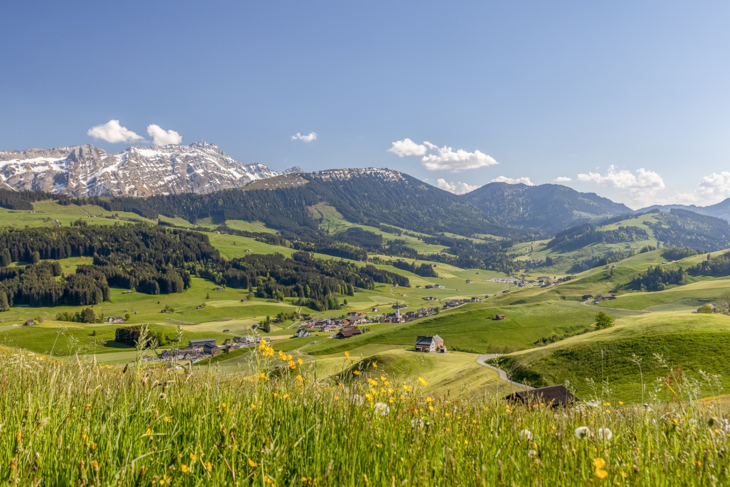 Vue sur l’Alpstein depuis le Chuterenegg. Photo: appenzell.ch