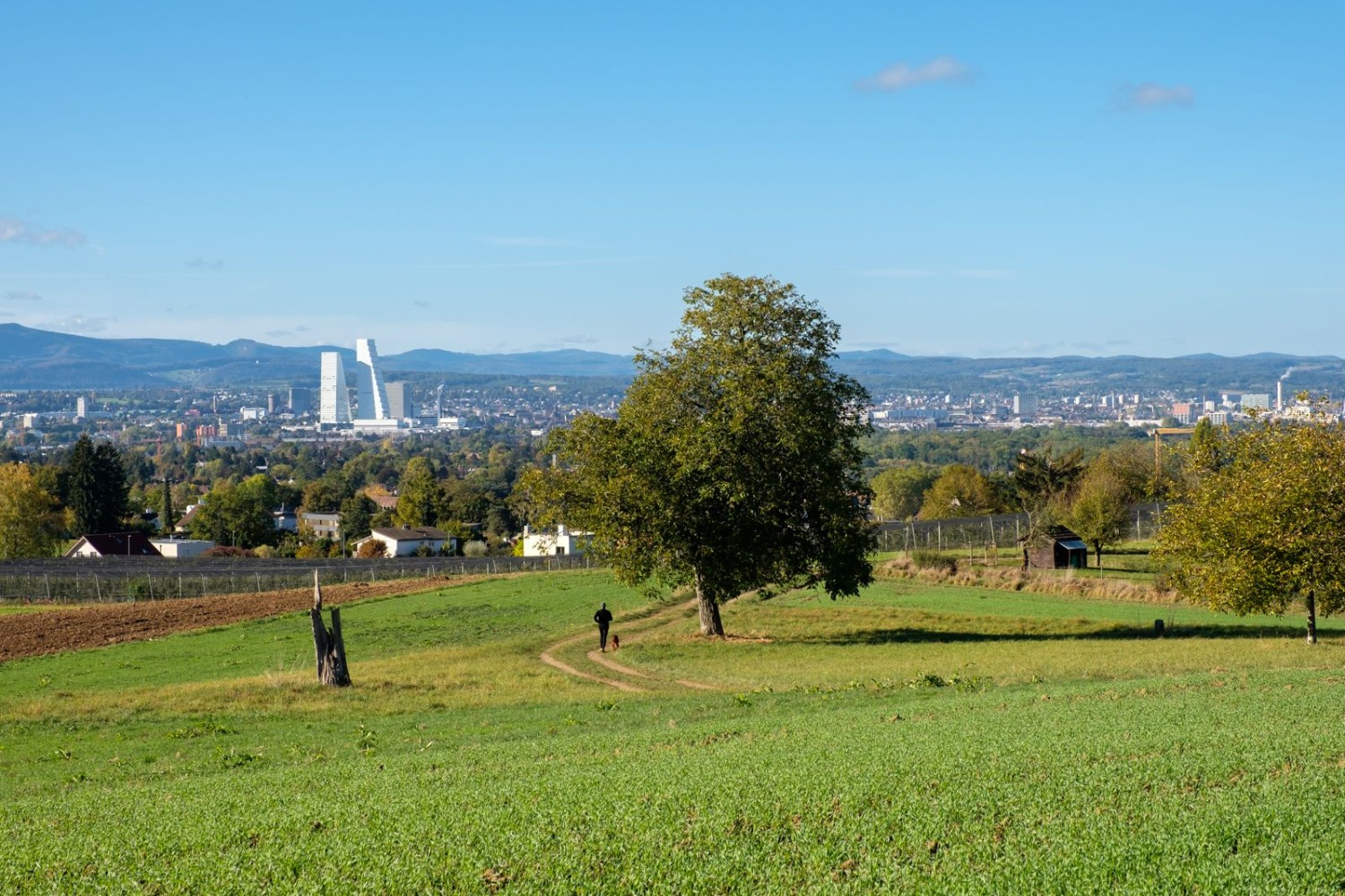 Vue de Maienbühl, avec les tours Roche qui définissent l’agglomération de Bâle.