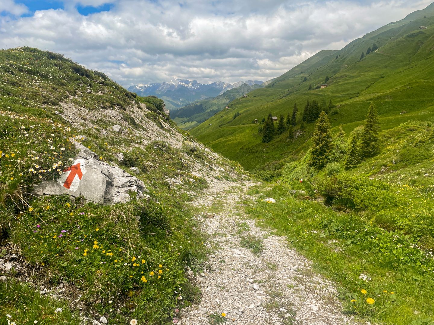 Le chemin descend dans la vallée en longeant le ruisseau Alpbach.