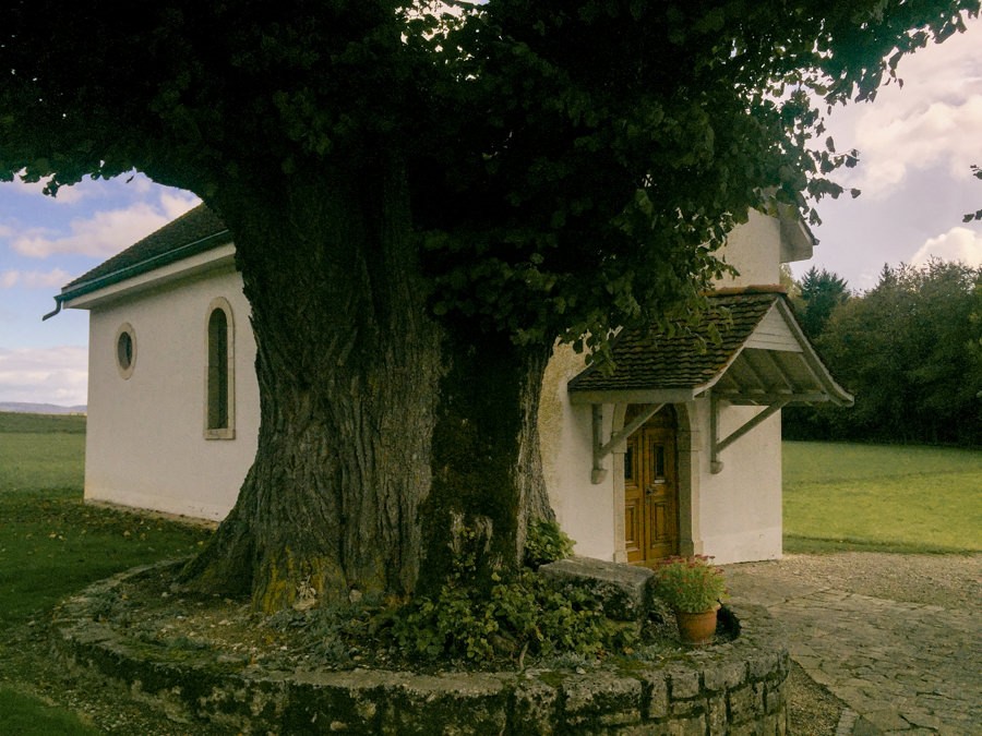  Die Kapelle St-Imier zwischen den alten Linden. Bild: Vera In-Albon