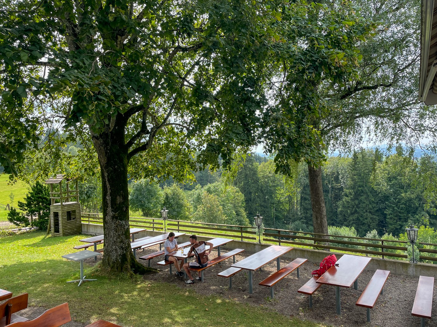 Un grand tilleul ombrage le restaurant Wildberg. Photo: Rémy Kappeler