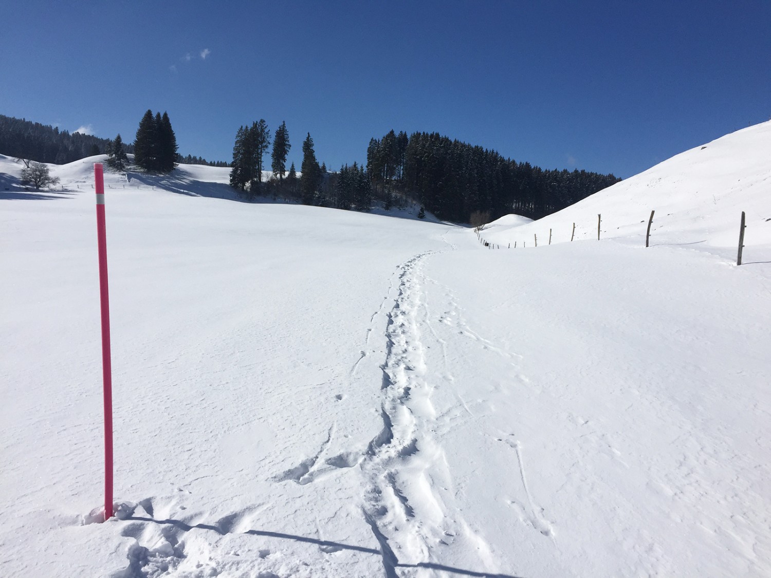 Der Weg zum Mont des Cerfs ist wenig anspruchsvoll. 