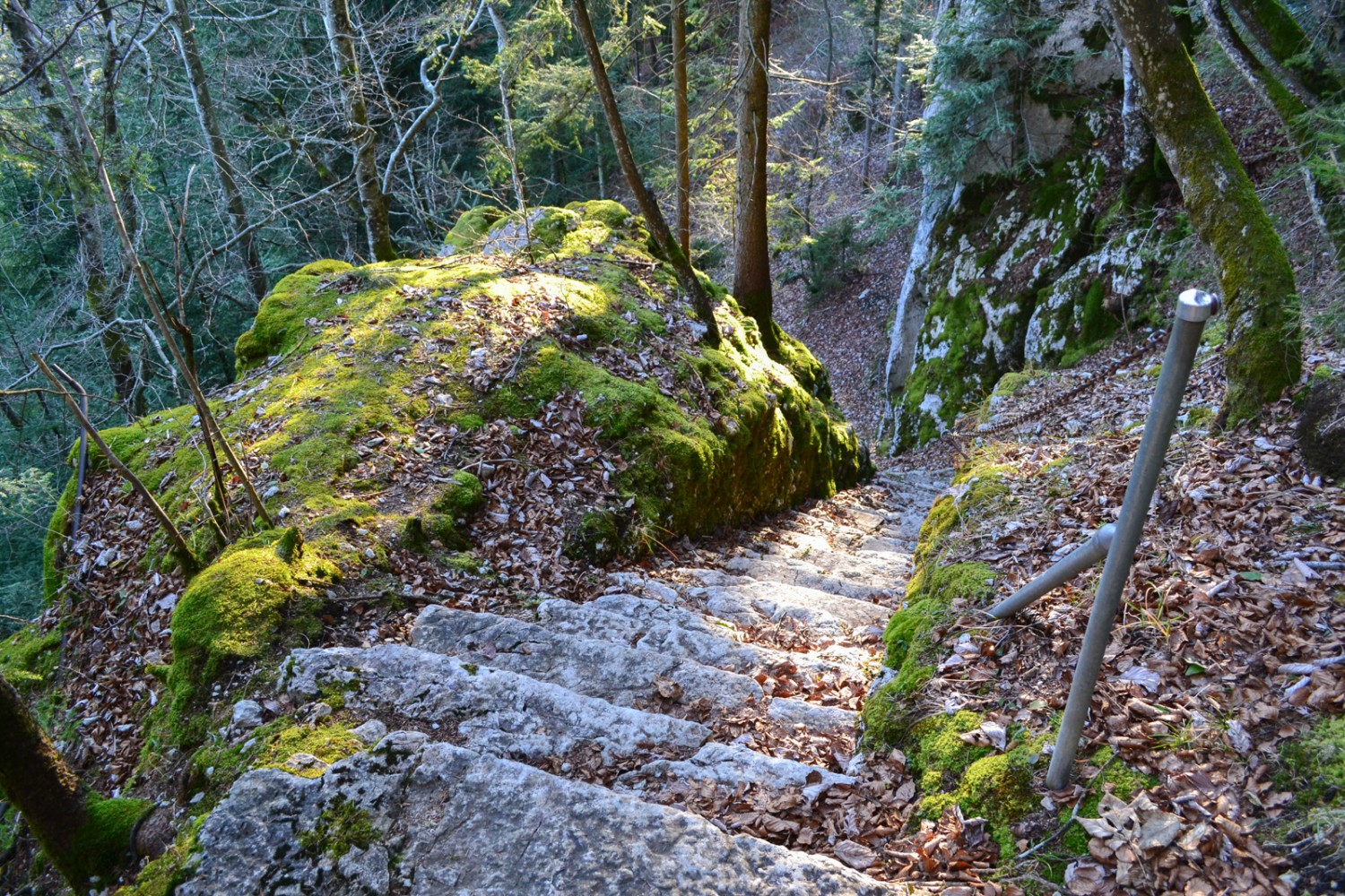 Der Abstieg nach Fleurier ist steil und erfordert Konzentration. Bild: Sabine Joss