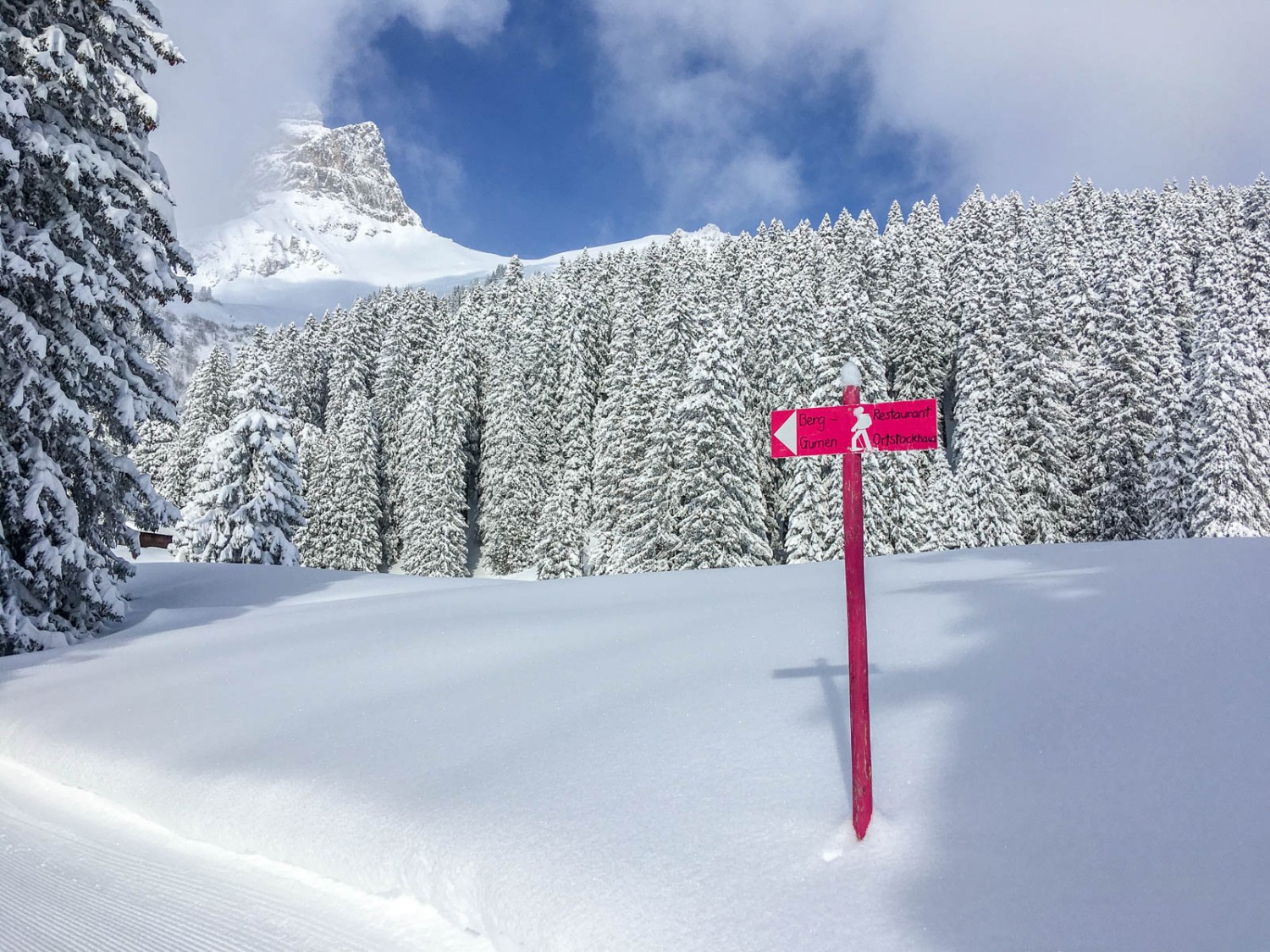 Der Winterwanderweg ist gut signalisiert. Bild: Claudia Peter