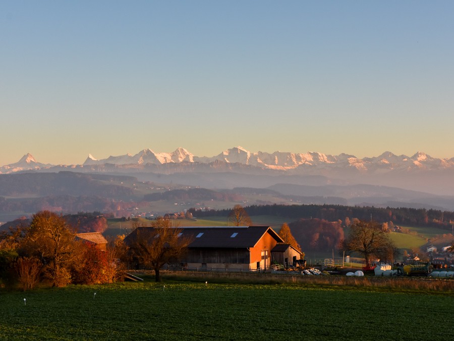Ganz nah an der Stadt, die Alpen im Blick. Foto: Alexandra Blatter