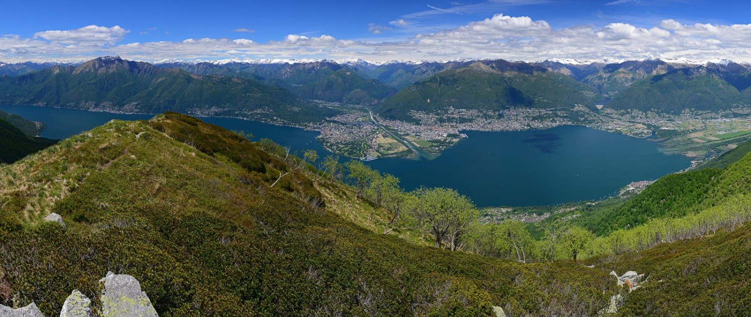 Während des letzten Teils des Aufstiegs auf den Monte Gambarogno schweift der Blick auf das markante Delta von Ascona nach Locarno. Bild: natur-welten.ch