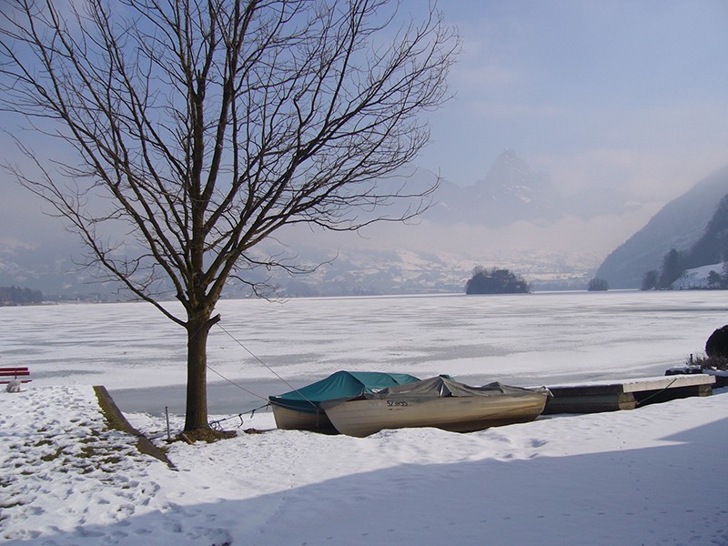 Atmosphère hivernale au Lac de Lauerz. Photo: Werner Nef