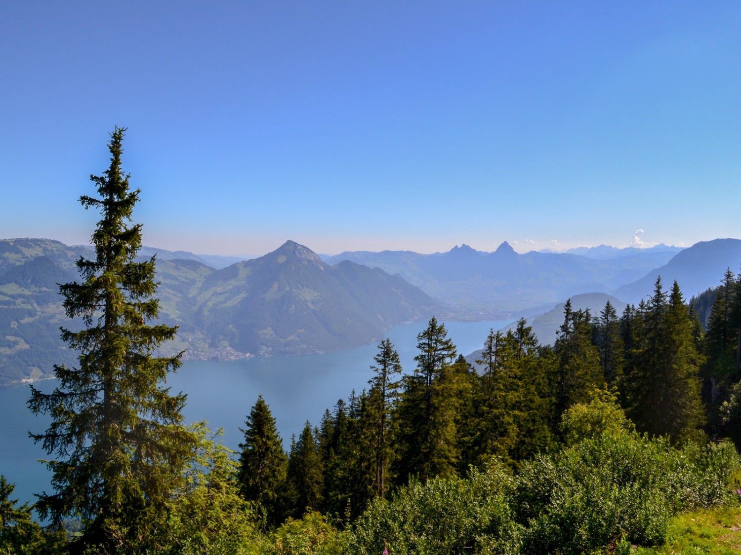 Aussicht von der Klewenalp über den Vierwaldstättersee zu den Mythen. Bild: Sabine Joss