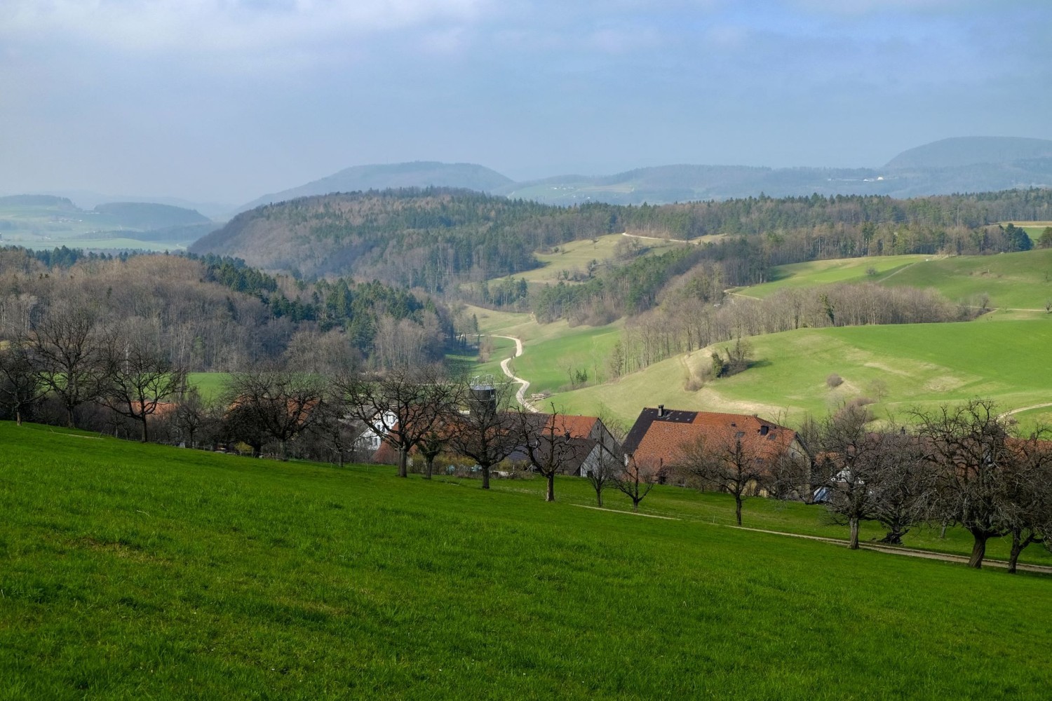 Au cours de cette randonnée, la vue porte par beau temps jusqu’à la Forêt-Noire.