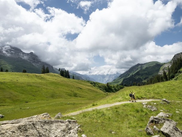 Wanderweg mit Wanderern im Sommer