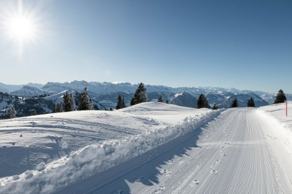 Winterwanderung auf der Rigi