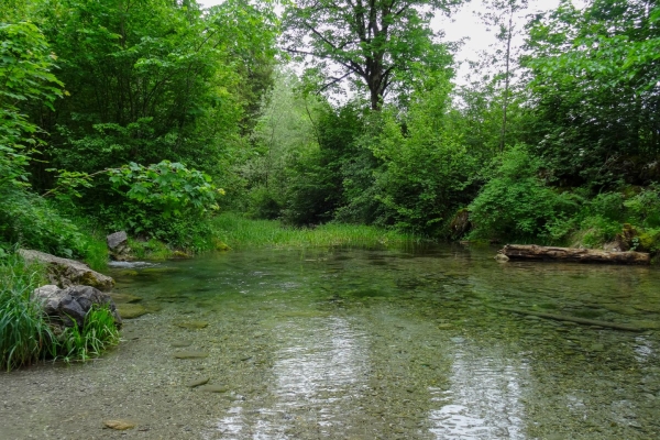 Le long de la Sarine, au cœur des Préalpes fribourgeoises