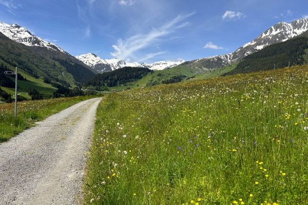 Sentiments da la stad tempriva en Surselva