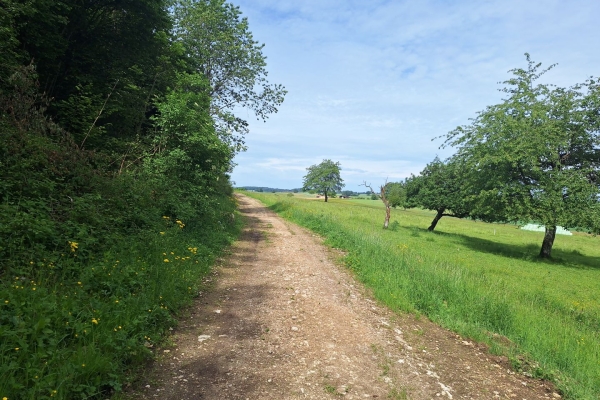 Stille erleben auf dem Jura-Höhenweg in der Ajoie