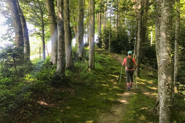 Familienwanderung durch eine Drumlinlandschaft