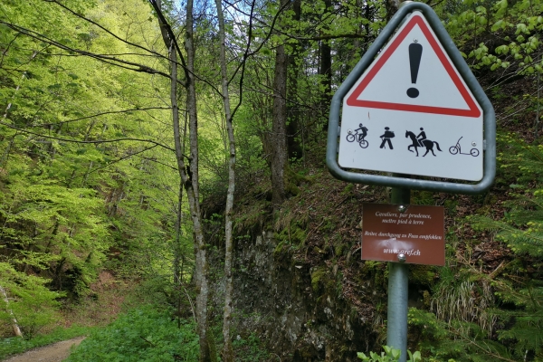 Wilde Schlucht in den Freibergen