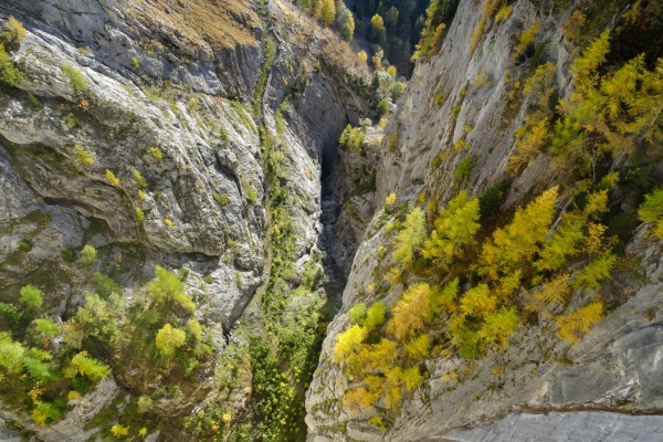 Randonnée le long d’un bisse du Bas-Valais