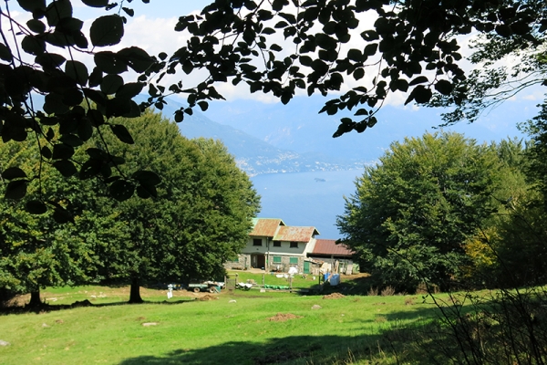 Sur de hautes terrasses d'Italie