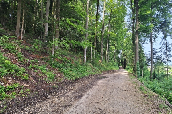 Belle quiétude en Ajoie, sur le chemin des Crêtes du Jura