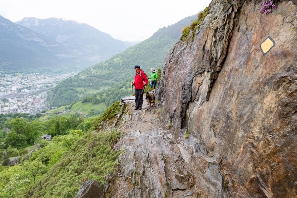 Terrasses abruptes sur les hauteurs de Naters