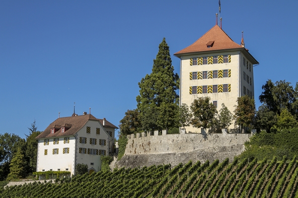 Châteaux de Hallwyl et de Heidegg