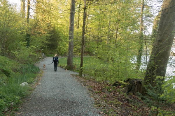 Printemps et rivières 