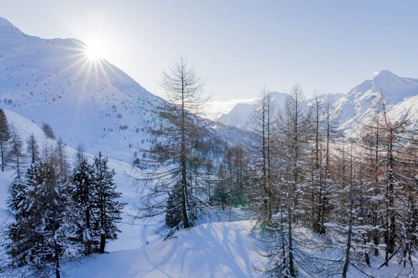 Engadiner Schneetraum im Val Fex