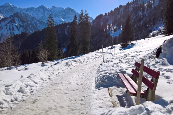 Chemin d’altitude à Braunwald