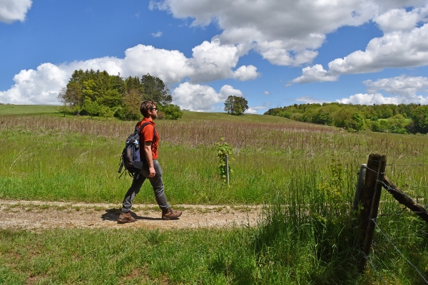 Le Jura argovien à pied