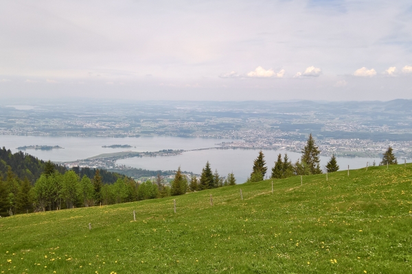 Alpweiden zwischen Sihlsee und Zürichsee