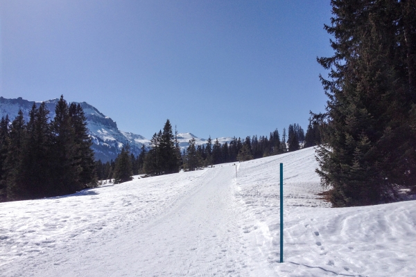 Bain de soleil face aux Churfirsten