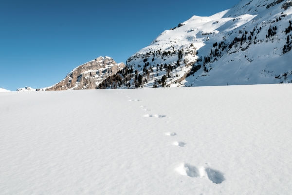 Im Schnee über den Gemmipass