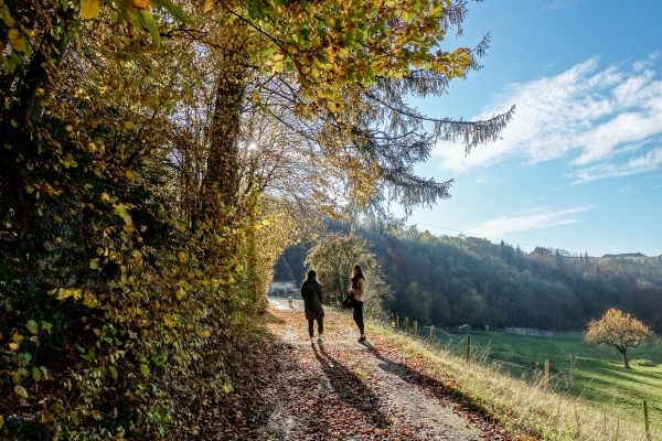 Entschleunigung bei der Stadt Freiburg