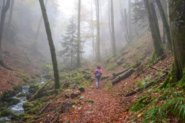 La Wolfsschlucht et le parc naturel de Thal