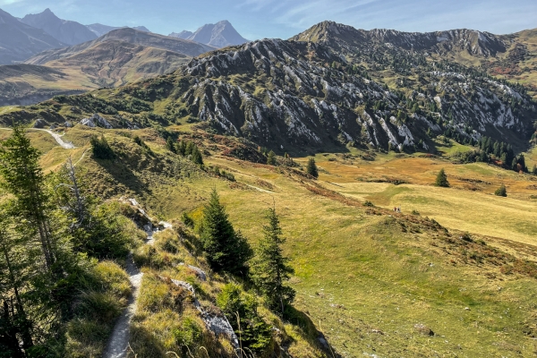 Von der Mondlandschaft an der Lenk