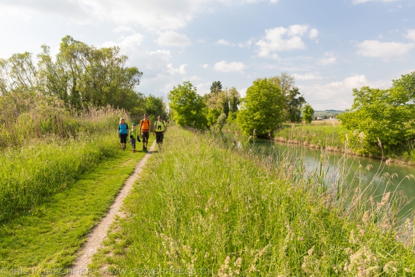 Une zone alluviale aux portes de Bâle