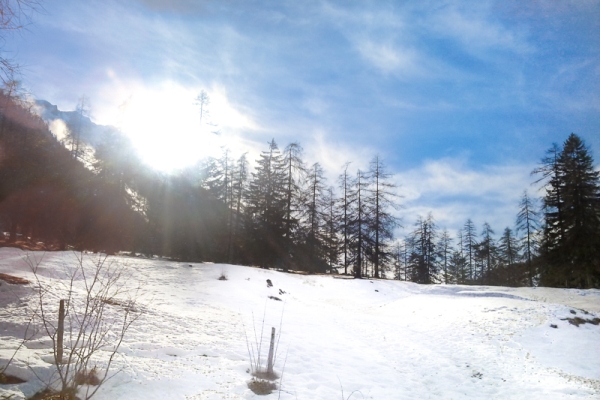 Au pied du massif du Calanda