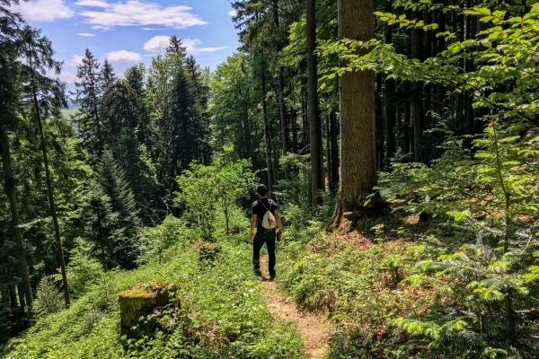 Belles vues sur le Eggen Höhenweg