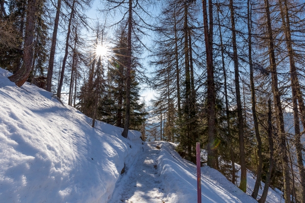 Dernières neiges à Davos