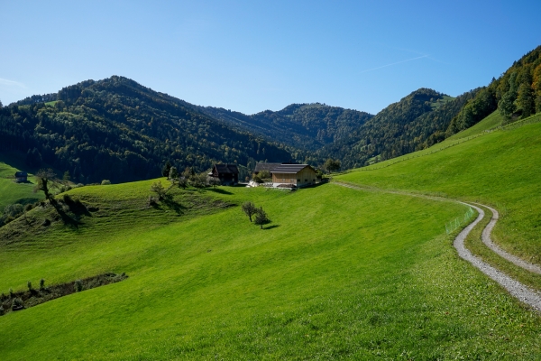 Du côté saint-gallois du Tössbergland