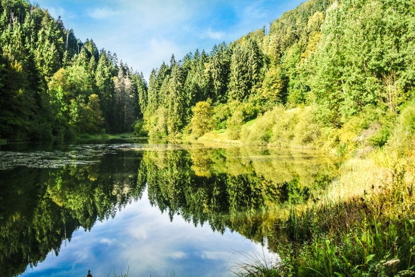 Teiche und Pferdeweiden in den Freibergen