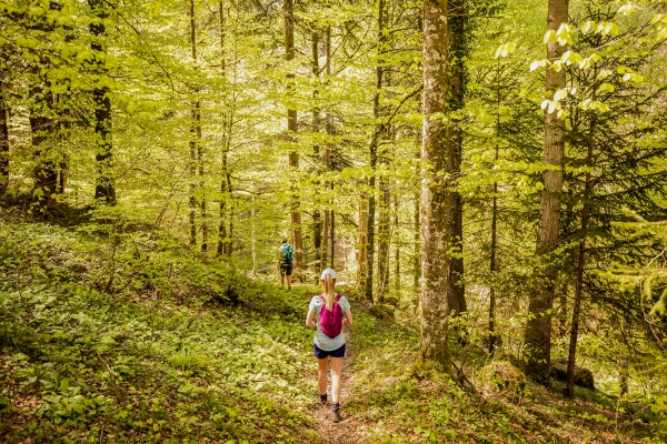 Feld, Wald und Wiese im Entlebuch