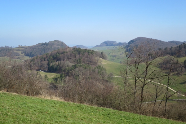 Von Wil AG über den Laubberg nach Remigen